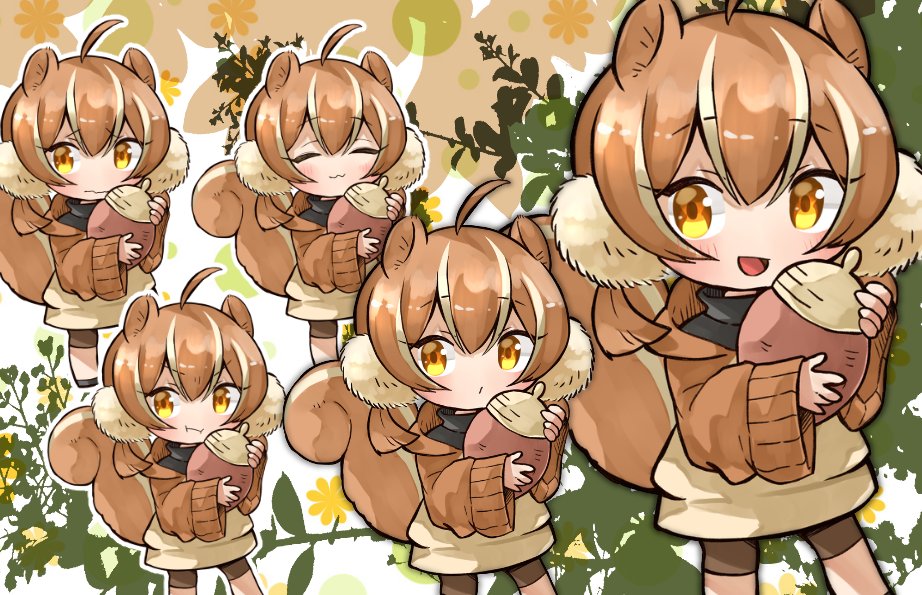 squirrel ears squirrel tail squirrel girl animal ears tail brown hair 1girl  illustration images