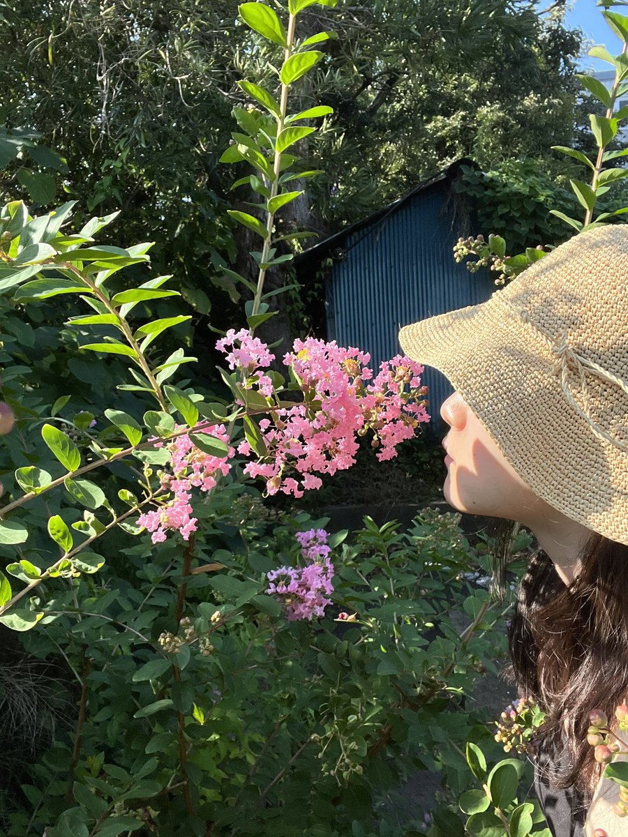 これなんていう花？