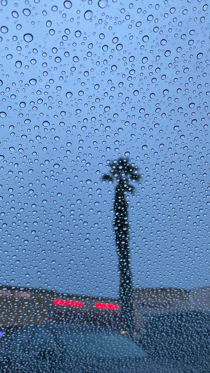 californiak0ol's tweet photo. Rain in California!
#rain #PhotoOfTheDay #CaliforniaHeatWave https://t.co/JtV8O42y8F