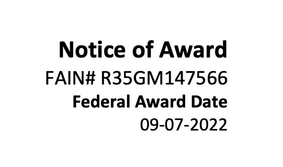 ScarletSam's tweet photo. Thrilled to receive the NIH-NIGMS R35 ESI-MIRA to study the regulatory roles of bacterial small proteins and epitranscriptomic factors! 🎉🤩Thanks to Yadavalli lab members (past &amp; present) and all my mentors for their support. 🤗 https://t.co/VO6z1aHQVi
