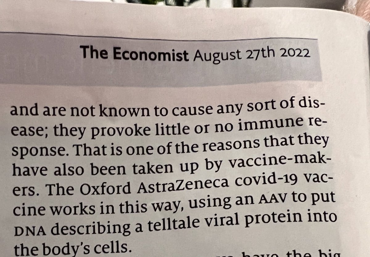 Esteban Engel tweet media