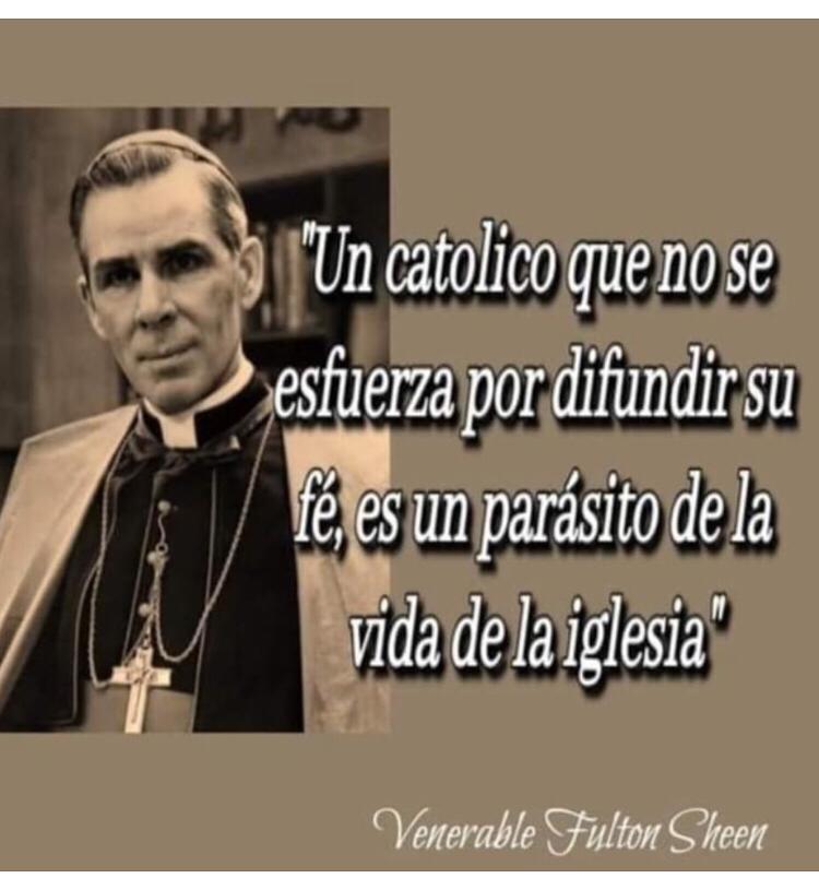 Conoce Ama Y Vive Tu Fe con Luis Roman tweet media