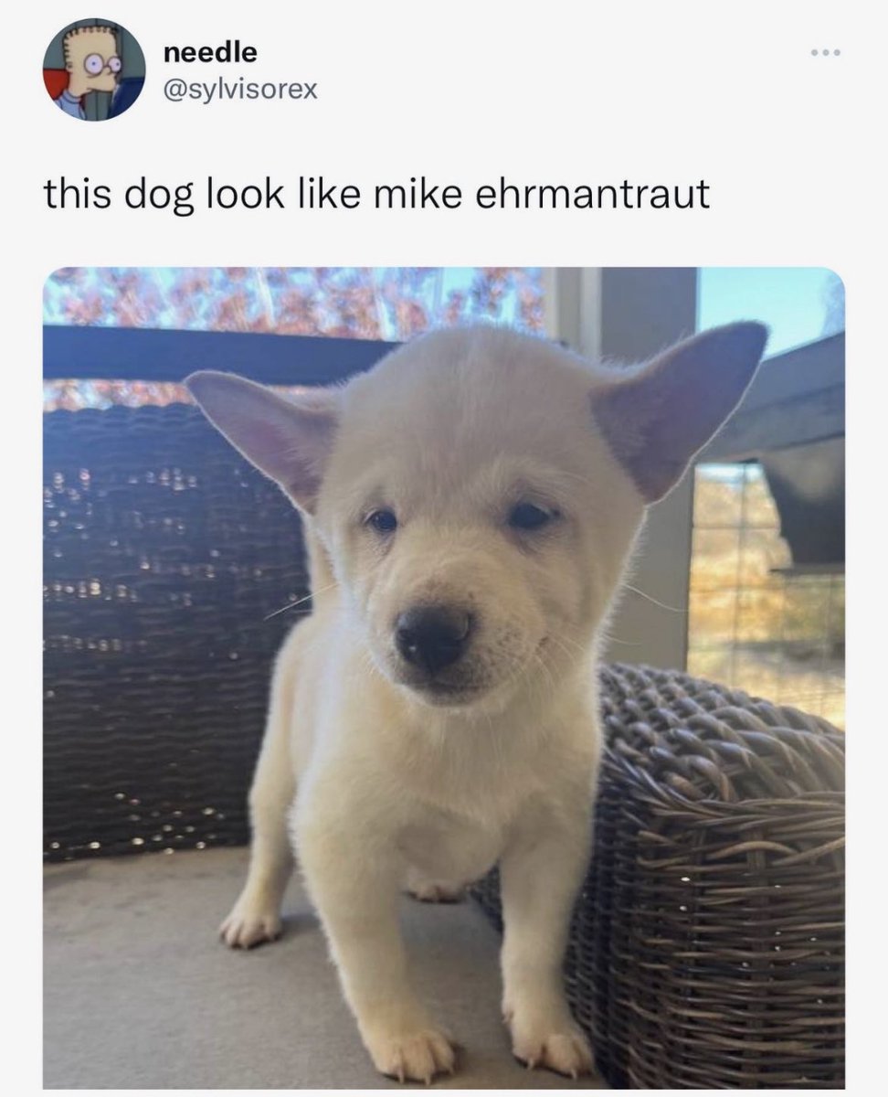 mike from breaking bad got dat dawg in him