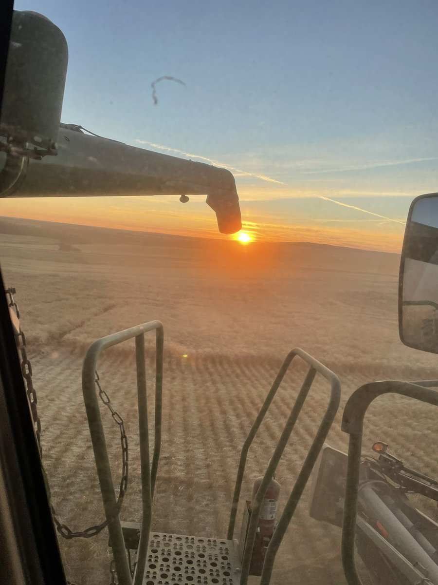 Why do we do this?? Take a look.   <a href="/grainhauler1995/">Braydon Gilchrist</a>  <a href="/R_Gilly_18/">Ryan Gilchrist</a> <a href="/vanny1169/">Ryan Van Genderen</a> <a href="/gilchrist_mlg/">Michelle Gilchrist</a>