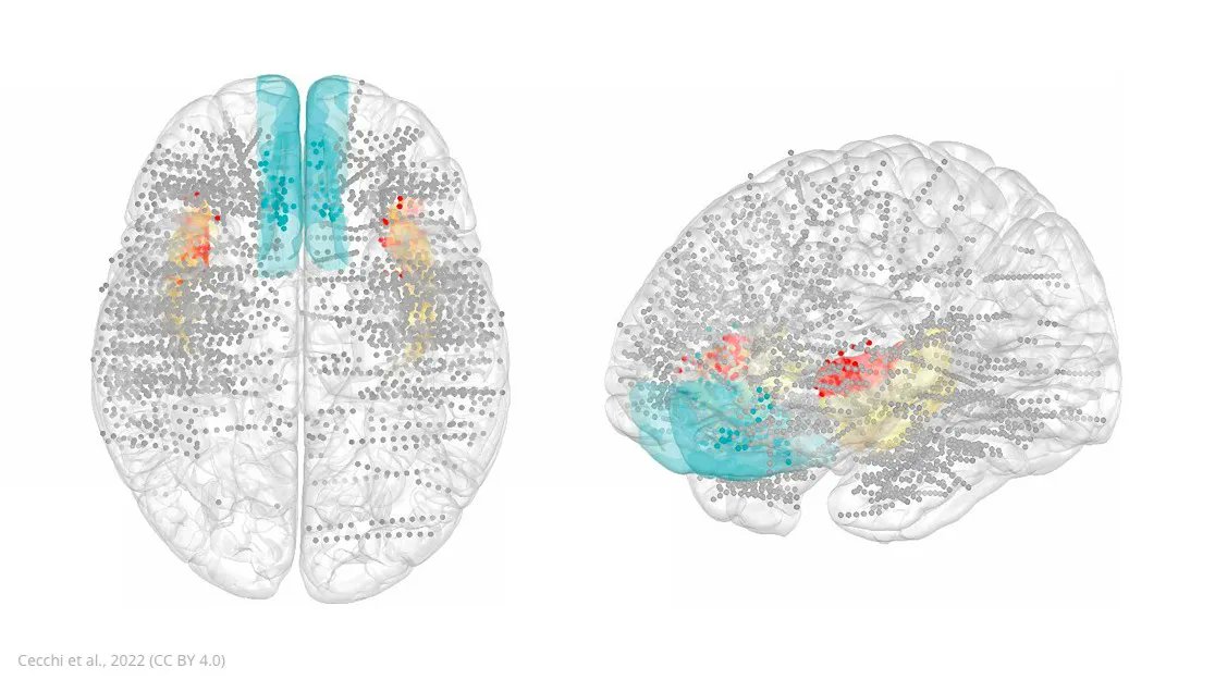 EEG recordings of the human brain reveal the links between our moods and different brain states and how they impact risky or safe decisions. elifesciences.org/articles/72440…