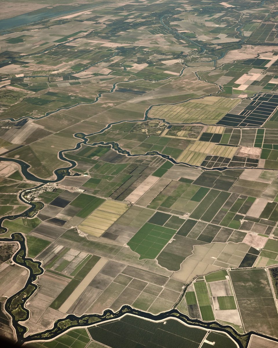 kid-winter tweet media