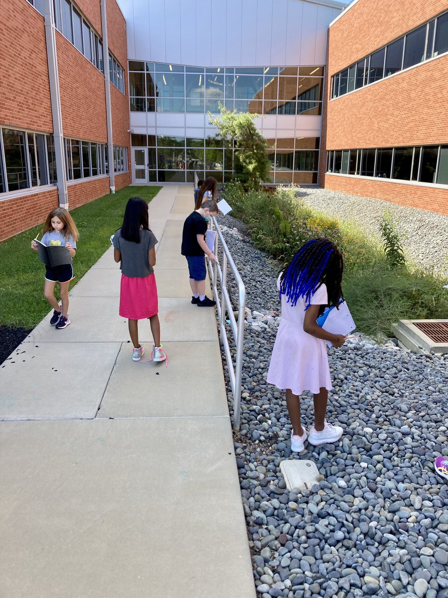 MsPGrade3's tweet photo. Taking science outside to observe living &amp; non-living things #whywefly https://t.co/2jNYXaEata