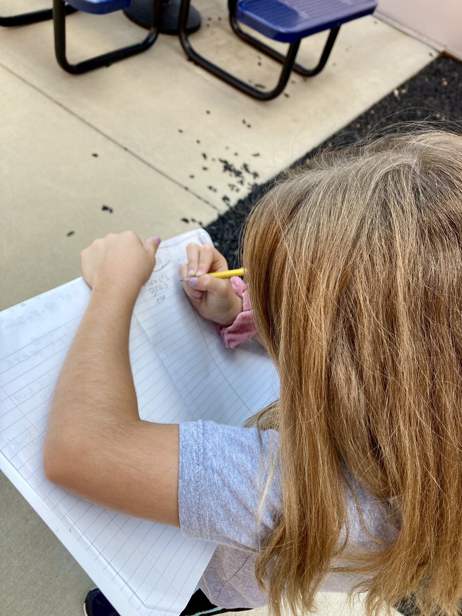MsPGrade3's tweet photo. Taking science outside to observe living &amp; non-living things #whywefly https://t.co/2jNYXaEata