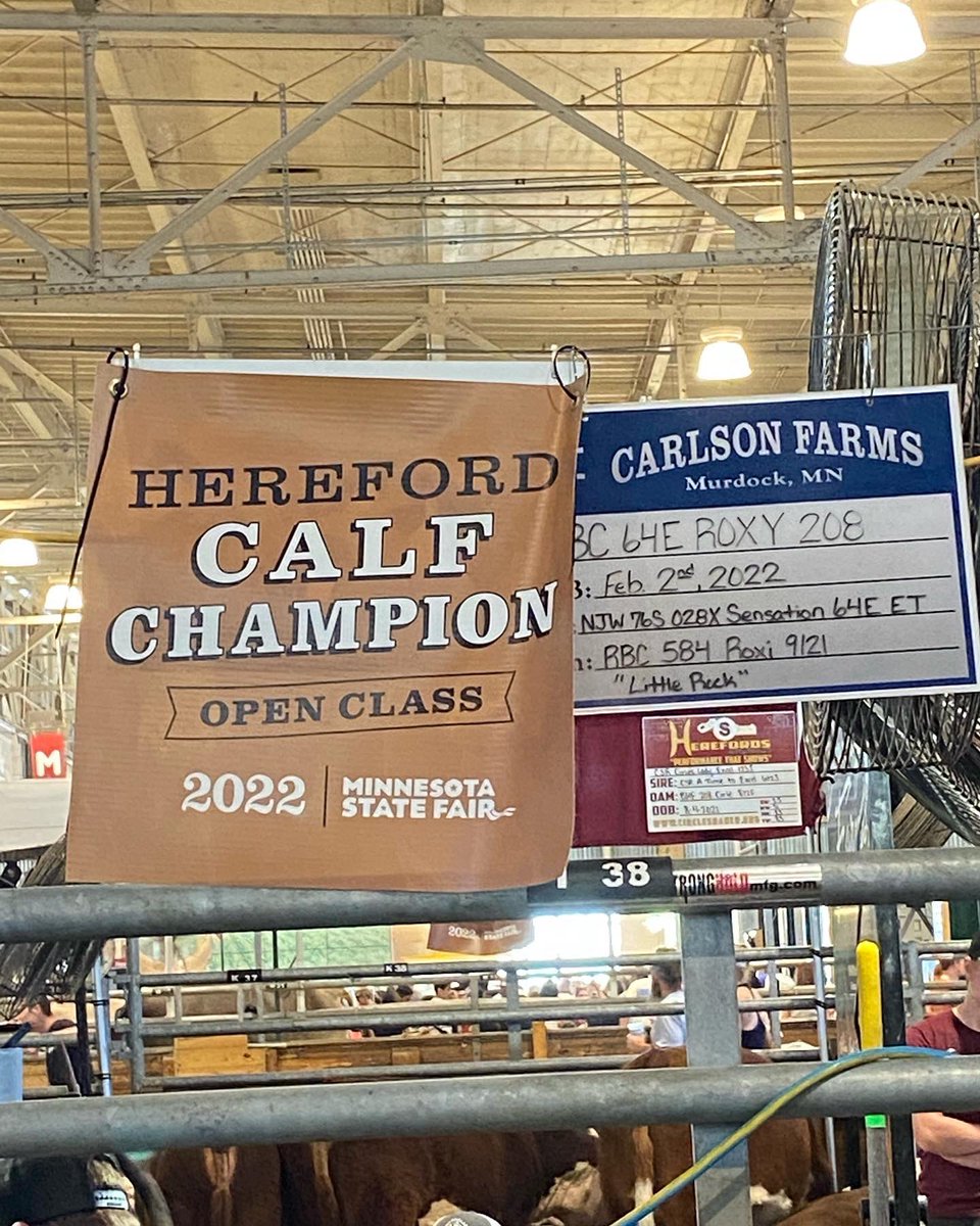 bcarlson7096's tweet photo. Family and State Fair time! My husband and I met here and we exhibit each year. It’s truly a family effort - Ross runs the showstring. Mallory clips and shows. Regan does the heavy lifting and I bring the snacks…maybe a little more work than that but they all like snacks🙂 https://t.co/hhLqo6UhcZ