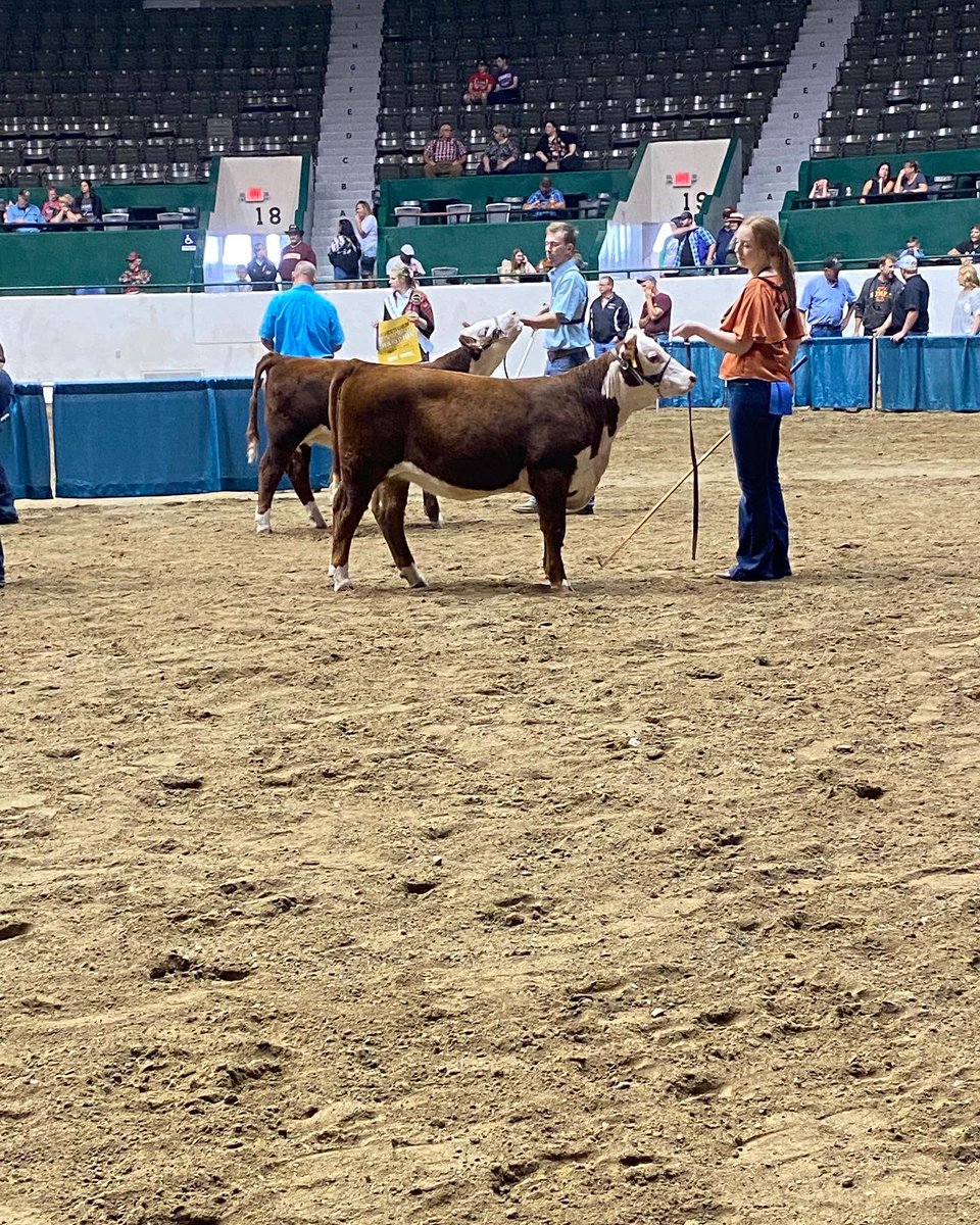 bcarlson7096's tweet photo. Family and State Fair time! My husband and I met here and we exhibit each year. It’s truly a family effort - Ross runs the showstring. Mallory clips and shows. Regan does the heavy lifting and I bring the snacks…maybe a little more work than that but they all like snacks🙂 https://t.co/hhLqo6UhcZ