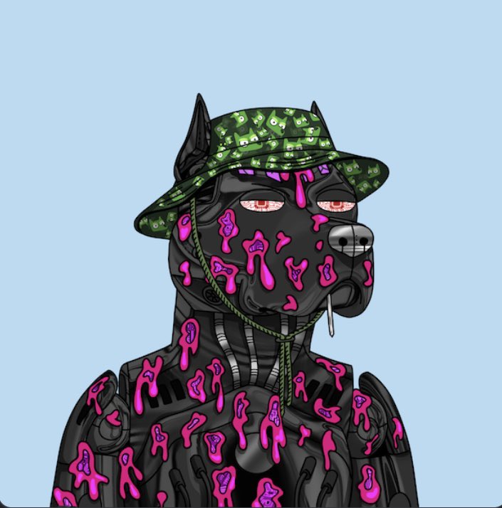 prophetcrabb's tweet image. Those are some badass dogs 🔥🔥 @GutterCatGang