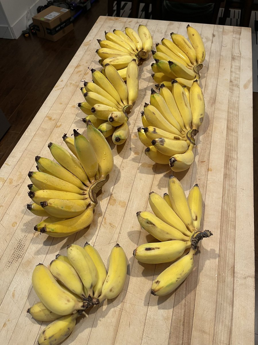 After two years <a href="/xcadaverx/">Daniel Williams</a> finally got to see the fruits of his labor. Now we have BANANASSSSS!!!