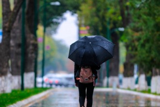 Ўзбекистонда 10 сентябрь куни кузатиладиган об-ҳаво маълумоти эълон қилинди
ЖАМИЯТ

Ўзбекистонда 10 сентябрь куни кузатиладиган об-ҳаво маълумоти эълон қилинди. Бу ҳа...
darakchi.uz/uz/152022

Обуна бўлинг: t.me/darakchi
youtube.com/channel/UC7pgD…