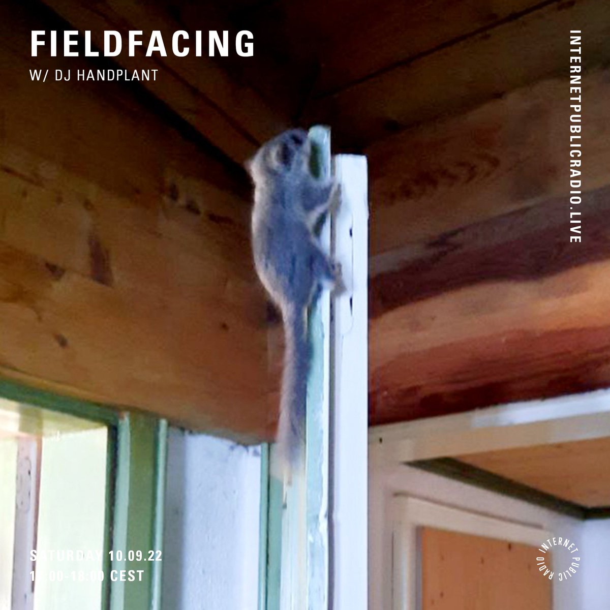 BELP (@belp_audio) on Twitter photo 