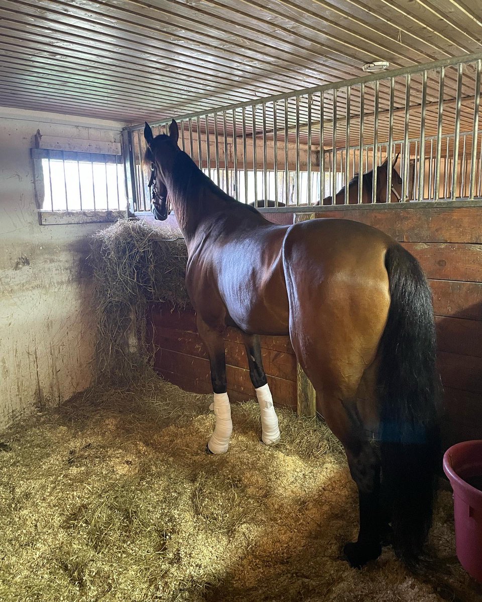 Mattias Wiklund tweet media