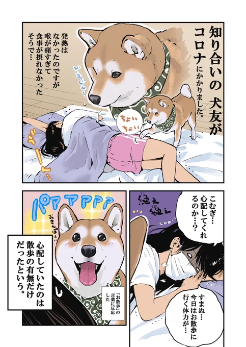 知人がコロナにかかったけど 
愛犬からも周りにも同情されていない件 