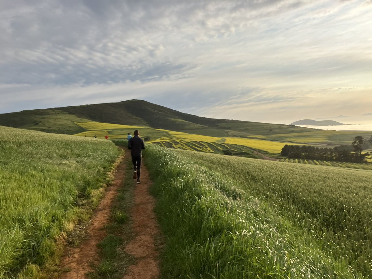 viljoenvn's tweet photo. Took these pics while running at #Meerendal this morning.
#Durbanville #CapeTown @CapeTownEtc #canolas #Spring
10 September 2022 https://t.co/nBoCfV8Rao