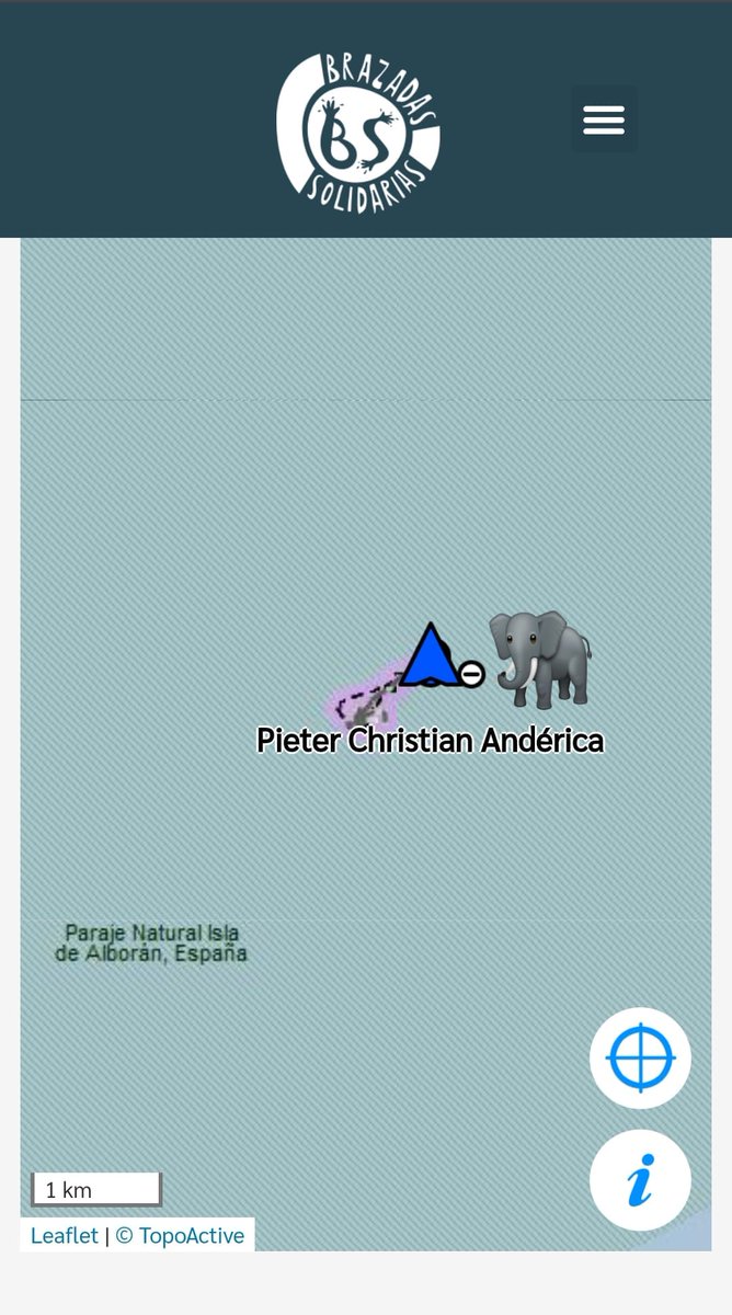 Brazadas Solidarias tweet media