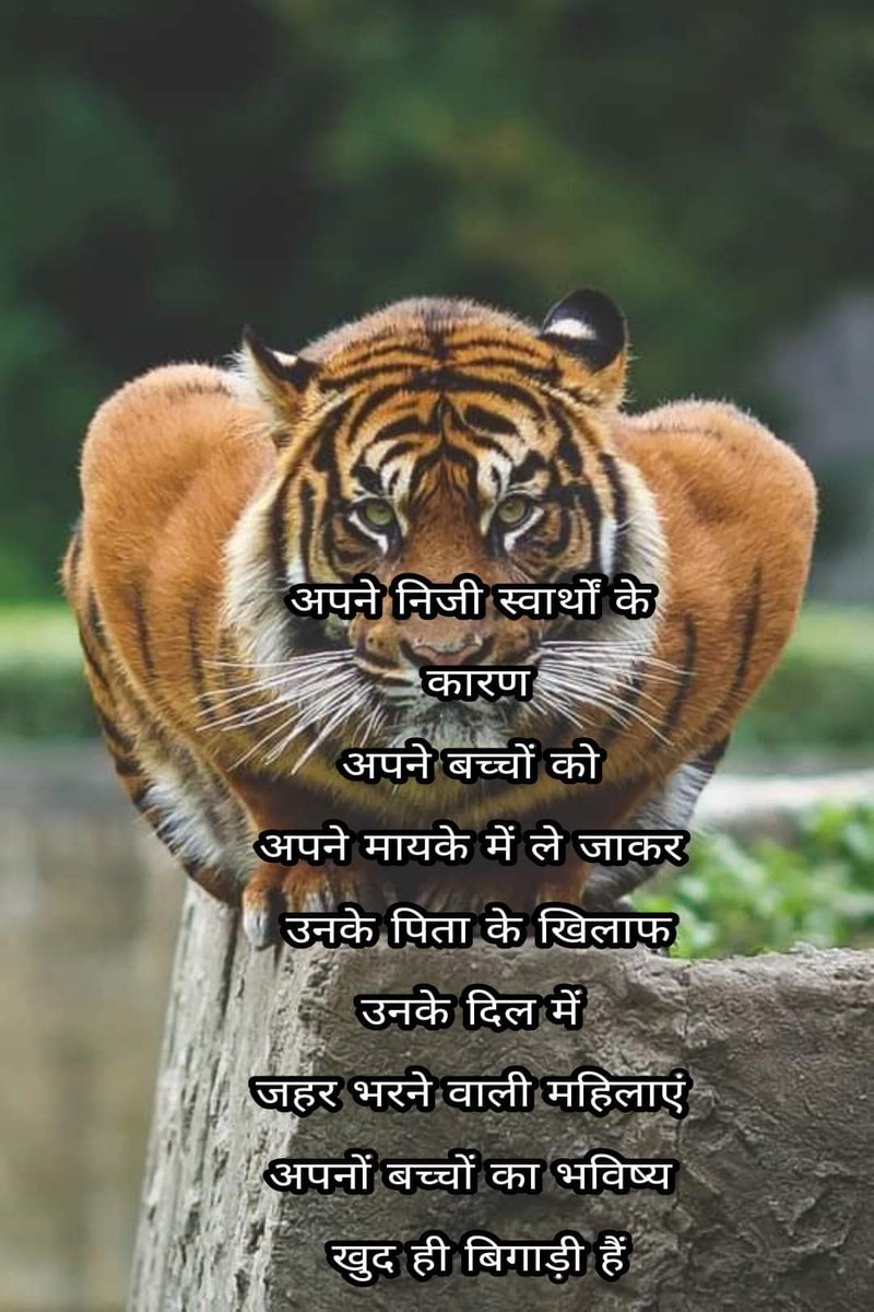 abhijitvhanman2's tweet photo. Stop #ParentalAlienation https://t.co/IdgrOZsfJp