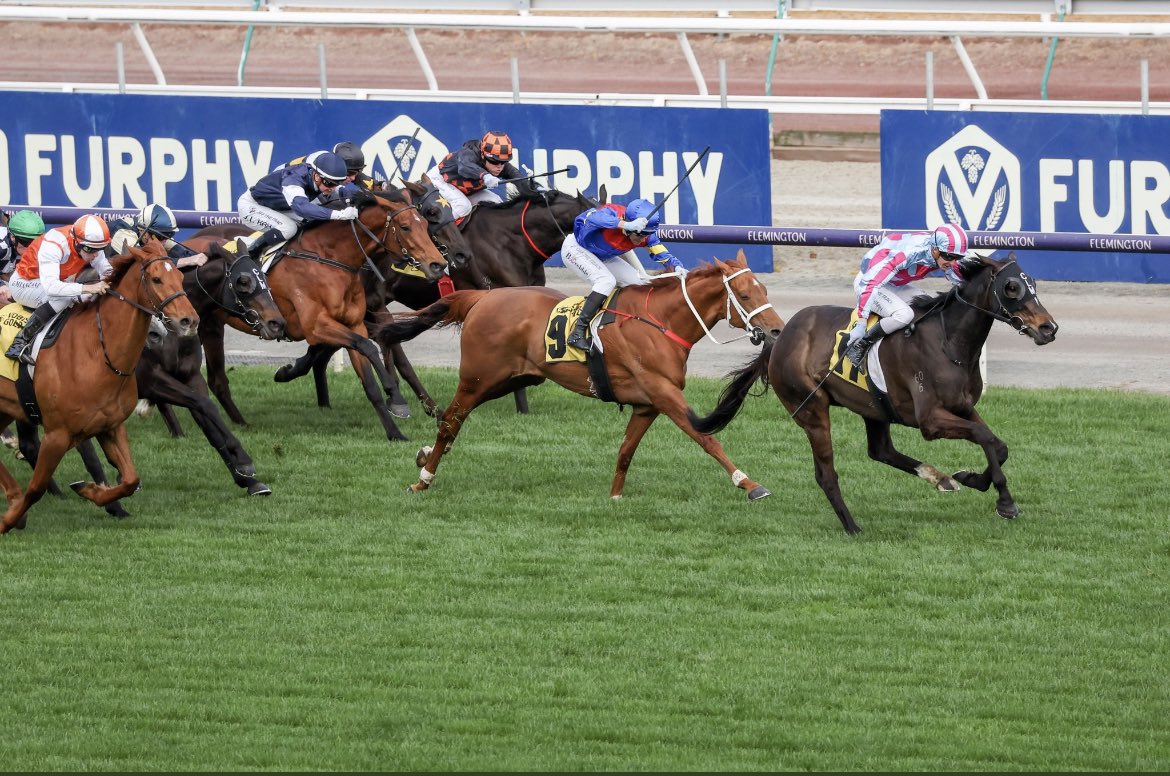 dansdrivel's tweet photo. Great win by #HighEmocean at @FlemingtonVRC today. Great ride by Harry Coffey, great prep by the team at @cmaherracing and great hospitality in the winners bar, I finally got in there https://t.co/8CDMcLBXUS