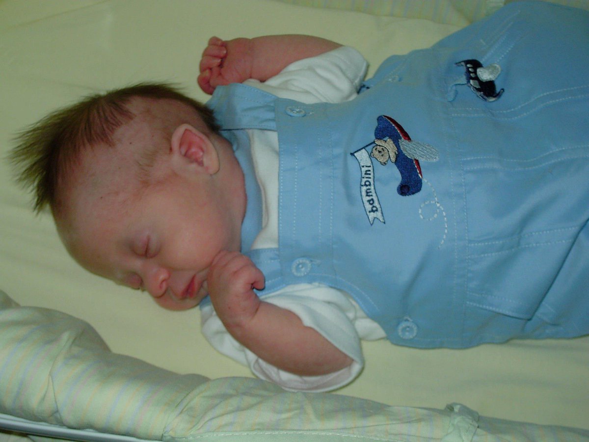 Eleanor Ellerslie 💙 tweet media