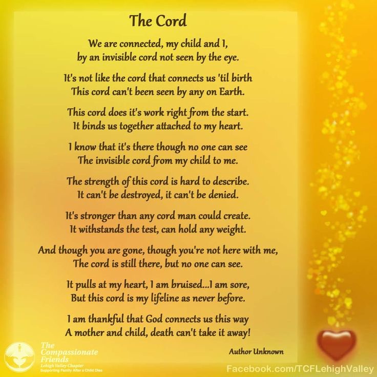 Eleanor Ellerslie 💙 tweet media