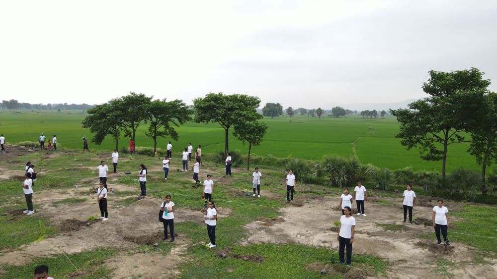 BipardP's tweet photo. Plantation activities at Goraur (Rajgir) Panchayat by trainee Panchayat Sachiv ... #BIPARD @crpf_rtc5 #rajgir  
#Patna #BiharNews #bihar #bihartourism #plantatree #gaya #Training https://t.co/xZo5811hOJ