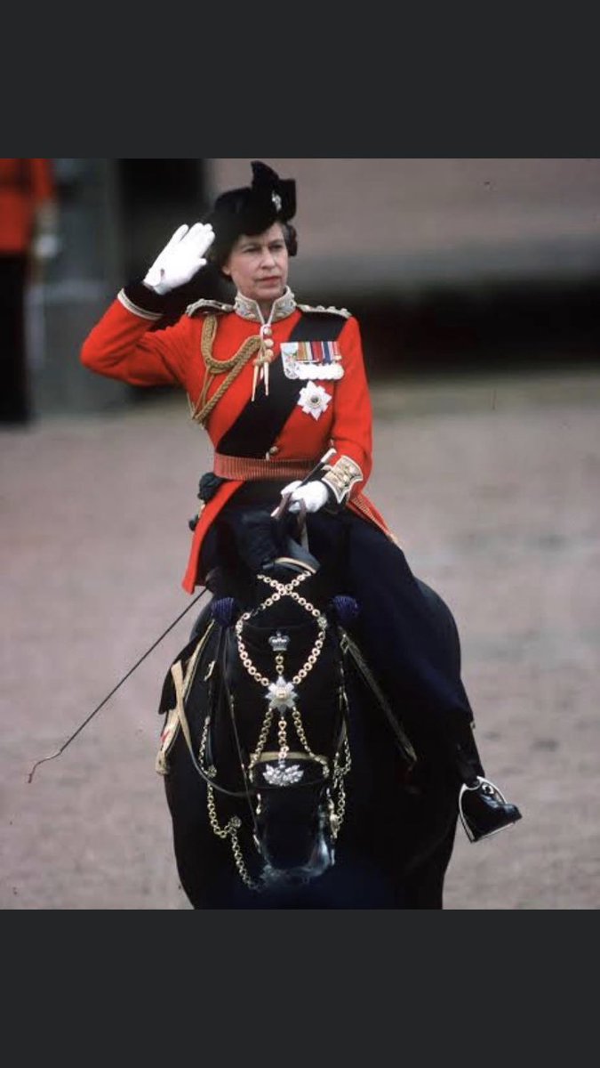 Al Wycherley (@chefalwycherley) on Twitter photo 