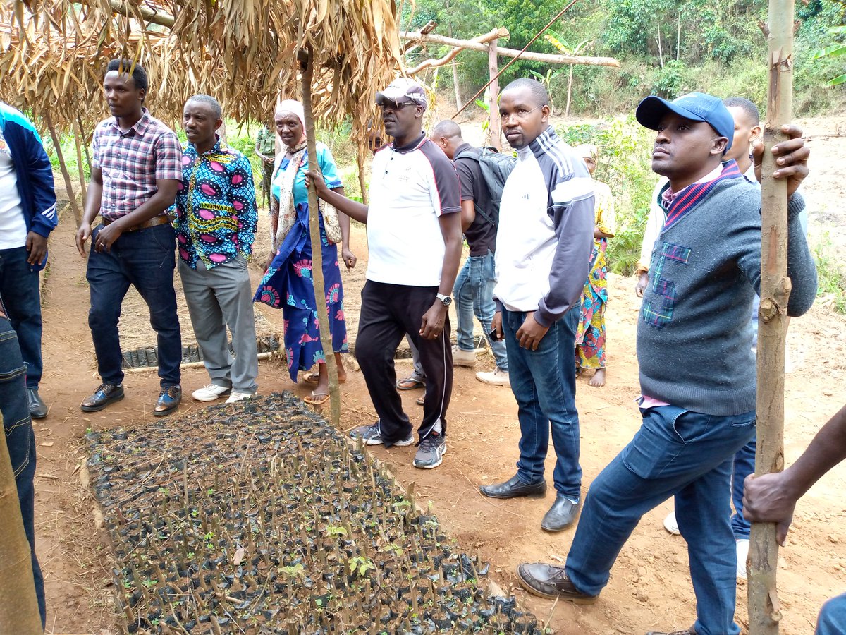 Province_Bururi's tweet photo. Ce vendredi 09 septembre, le Gouverneur de la Province #Bururi a effectué une descente sur terrain pour voir l'état d'avancement du pépinière communautaire de 70 mille plants d'arbres autochtones situé sur la colline #Kiganda, zone #Gasanda, commune #Bururi https://t.co/D1EEkYSBCn