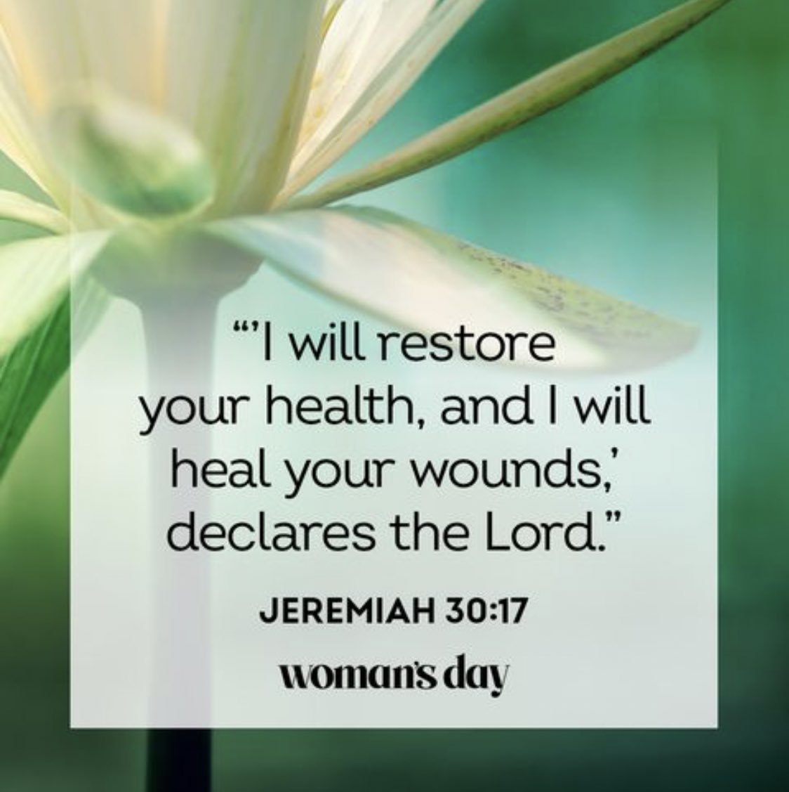 Have you ever tried love and nothing goes on well in your relationship come for the spells that work immediately call/WhatsApp me on +27634757913