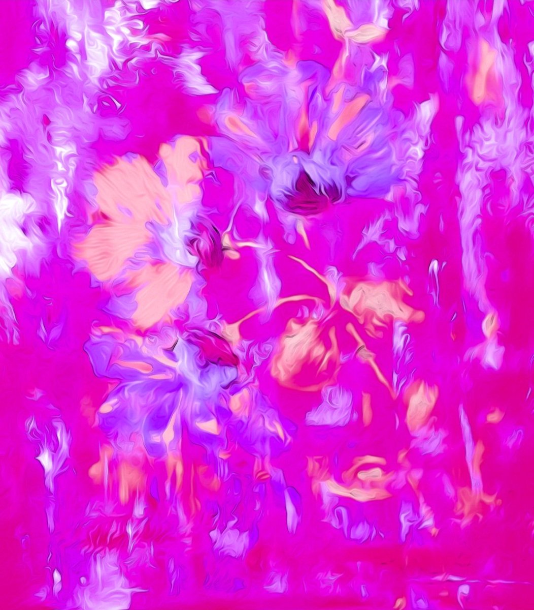 Mana🌹NFT.NYC24 tweet media