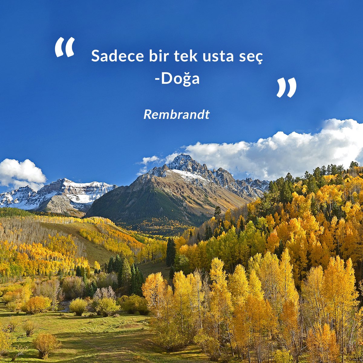 temavakfi's tweet photo. “Sadece bir tek usta seç -Doğa” Rembrandt
-
#YeşilSözler https://t.co/ZyDR8wWVTF