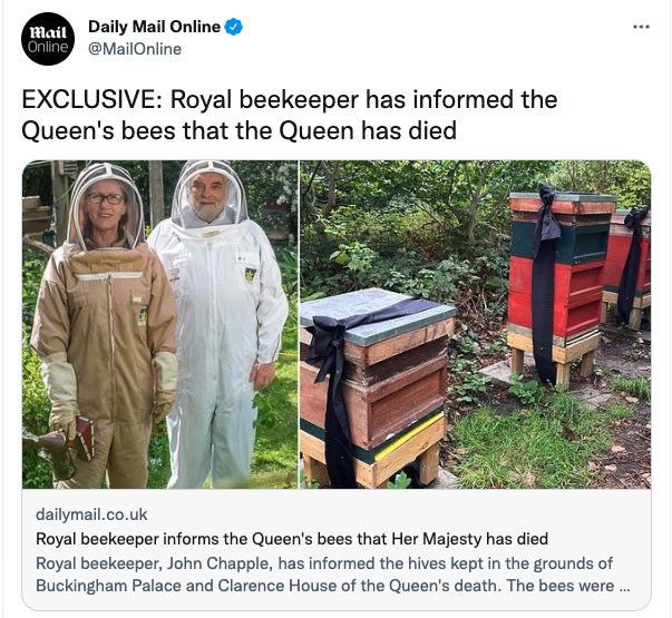 Nick_Pettigrew's tweet photo. Ah, we’re at the ‘talking to bees’ stage of national insanity. Yes, right, excellent. https://t.co/r5Hbwg7xYL