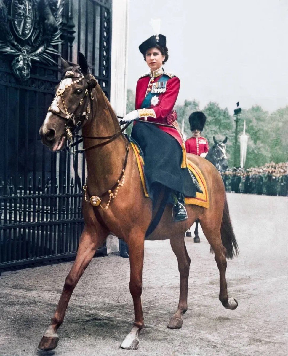 The queen
