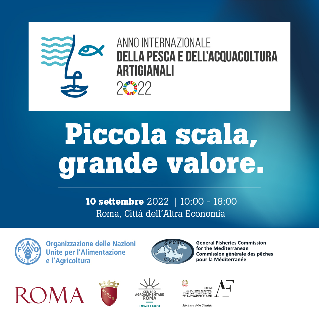 italmercati's tweet photo. 🐠🐟Oggi alla chiusura del #COFI35 per la #pesca per parlare delle sfide del settore #ittico e di #acquacoltura nel mediterraneo.
"Iniziative come questa sono importantissime per i mercati ittici all'ingrosso" – ha commentato il nostro Pres. @PallottiniFabio
@FAOfish #IYAFA2022 https://t.co/BQ1J7h7cNr