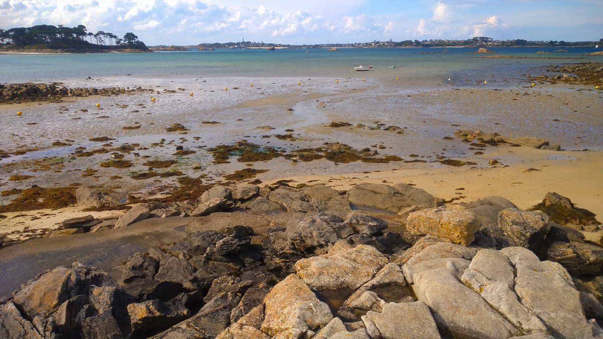 ApicoLipid's tweet photo. @RossWaller3 @TrendsParasitol Thanks for organizing a great #CJM4 meeting in a beautiful and inspiring place. Also thansk to @SBRoscoff and @INSB_CNRS. It was perfect to enjoy #parasite, #plankton #protists and more!! Ready for next one...!! https://t.co/mL2KHhEbpE