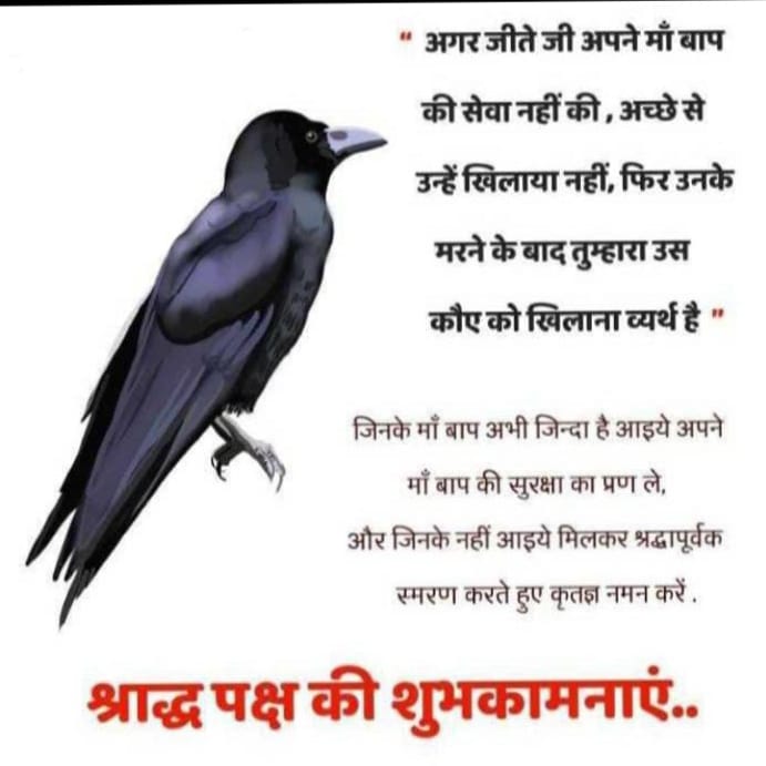 Adv. Rajni Divan (@divanrajni) on Twitter photo 