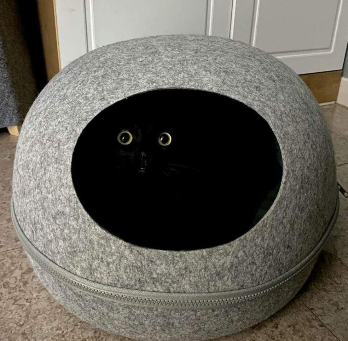 CATBRAINCELL's tweet photo. haunting https://t.co/2Bqsqk8Kr9
