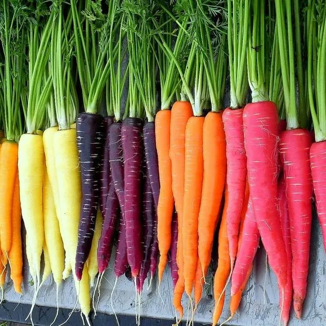 Community Farm Store tweet media