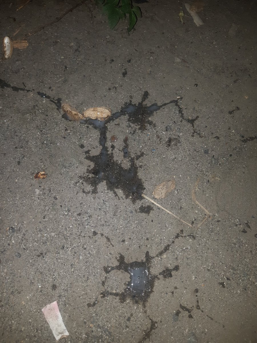 PapaTiri69's tweet photo. Tuh kan muntah lgi, gini nih klo kbanyakan miras😭🤮 https://t.co/ZZ8pwMK4Bs