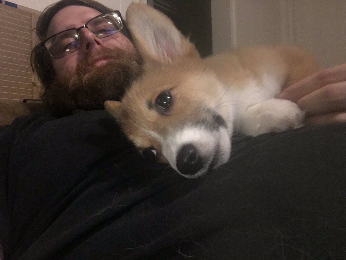 M0naco_'s tweet photo. Meet mango the newest pup to the wolf pack! She is the most loving pup ever besides my hyper husky #Mmemberville https://t.co/t0tIes7rsZ