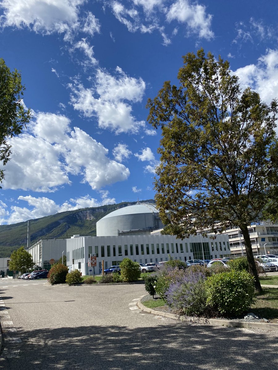 Giovanna Cicognani tweet media