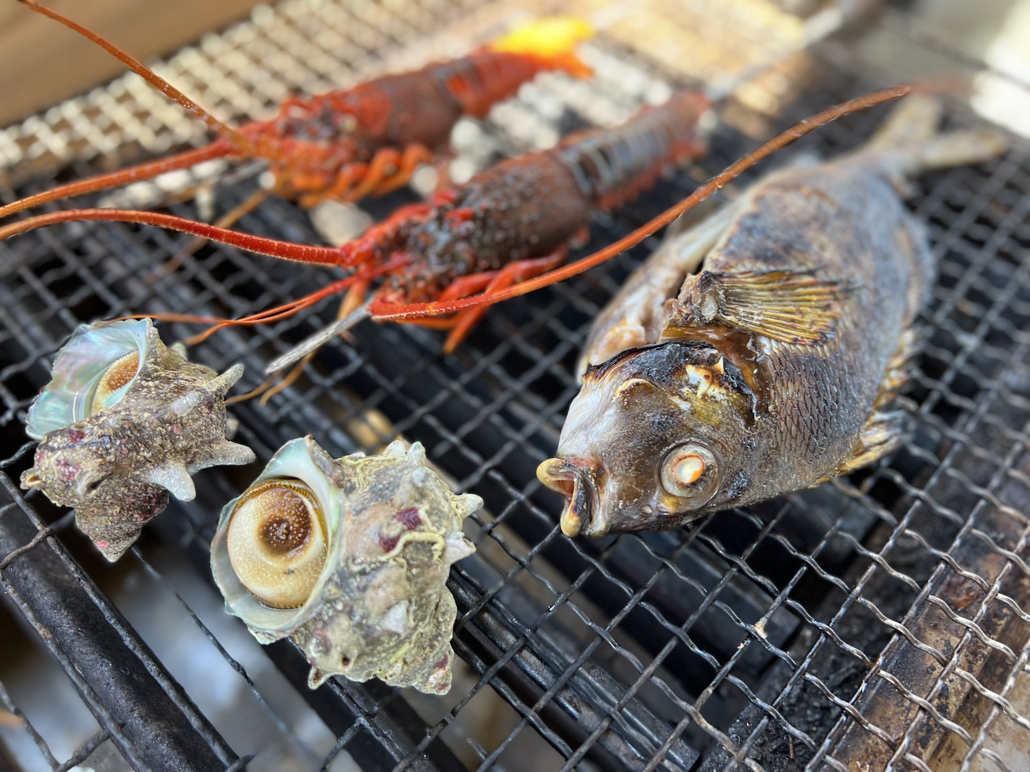 藤川 Ryujin 靖彦 相浜の浜のいそっぴが復活してくれてよかった と言うことで浜焼きbbq 今日はサービスでタカノハダイも 浜焼き 海鮮bbq 浜のいそっぴ 南房総 館山 相浜 T Co D0p8ebt2na Twitter