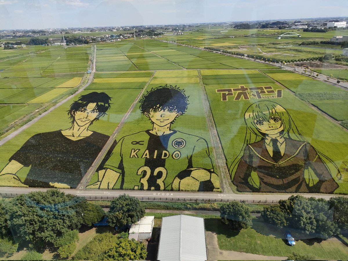 Nisepicachu1's tweet photo. 片道９０キロ走って田んぼアート見に来たが、絵のネタが全く知らないアニメだった微妙さ（笑） https://t.co/g9cDAumunY