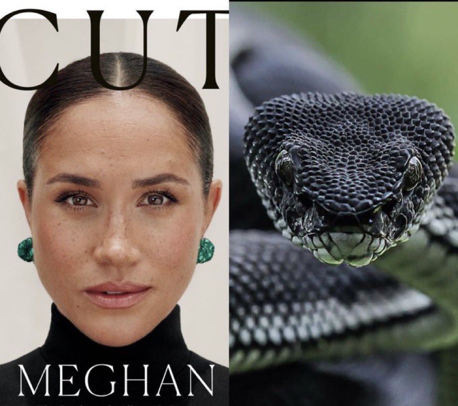 JonJBurrows's tweet photo. @GBNEWS Meghan Markle described as “Delusional Drama Queen” - most accurate.
#Megnut #MeGain #MayhemMarkle #Overseas #NotaRoyal #Megxit #DuchessOfSunsetStrip #VoetsekMeghanMarkle #DelusionalDramaQueen #DuchessOfDisaster #MeghanMarkle https://t.co/kc4vlUSmEU