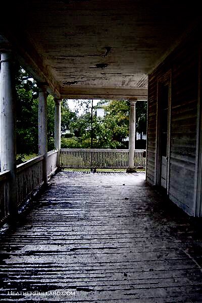 Deborah Wynne, Author tweet media