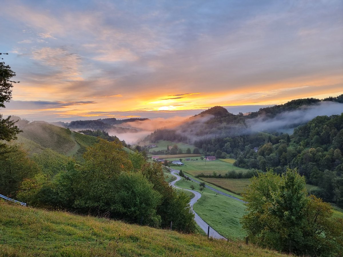 mihadajcman's tweet photo. Začenjamo. #trgatev 1. dan #NaBregi https://t.co/QuENdghiNu