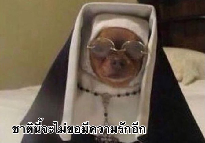 ไทน์ tweet media