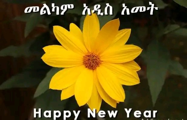 yilkal_kefale's tweet photo. በሀገር ውስጥም ይሁን በውጭ ያለን ኢትዮጵያዉያን በአዲስ ዓመት አዲስ ተስፋን ሰንቀን፤ ዓመቱ የጤና እና የሰላም ይሁንልን። 
አዲሱ 2015 ዓመት ለኢትዮጵያዉያን ሁሉ የጤና የሰላም የመተሳሰብና የብልጽግና ዓመት እንዲሆንልን እመኛለሁ። ድል ለሀገራችን https://t.co/Ft9xEn606d