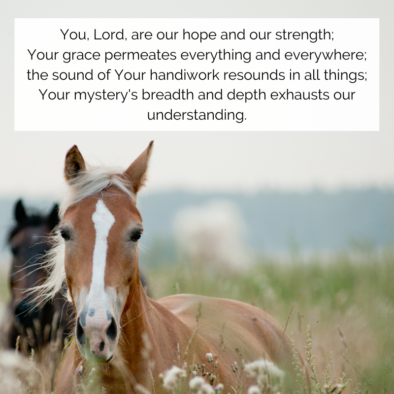 churchscotland's tweet photo. #God #Prayer #ChurchOfScotland https://t.co/SxvnU66gme
